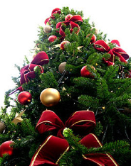 Este ano haverá escolha da árvore de Natal mais bonita