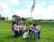 Hoje, o plantio de mudas acontece no distrito de Aracatiaçu